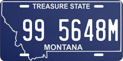 MT license plate 995648M