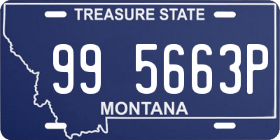 MT license plate 995663P