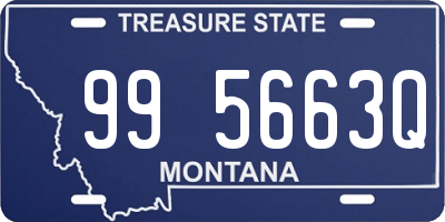 MT license plate 995663Q