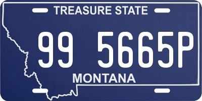 MT license plate 995665P