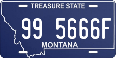 MT license plate 995666F