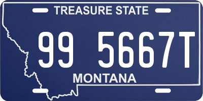 MT license plate 995667T