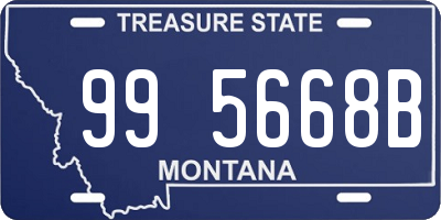 MT license plate 995668B