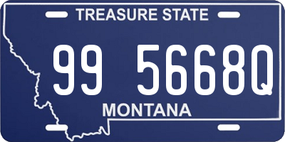 MT license plate 995668Q
