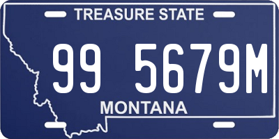 MT license plate 995679M
