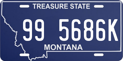MT license plate 995686K