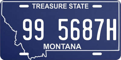 MT license plate 995687H