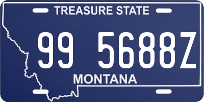 MT license plate 995688Z