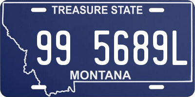 MT license plate 995689L