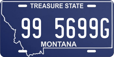 MT license plate 995699G