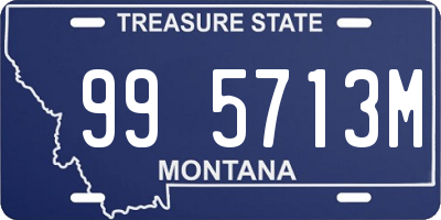 MT license plate 995713M