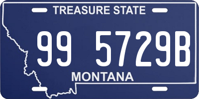 MT license plate 995729B