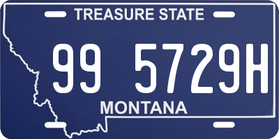 MT license plate 995729H