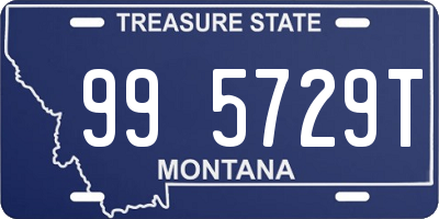 MT license plate 995729T