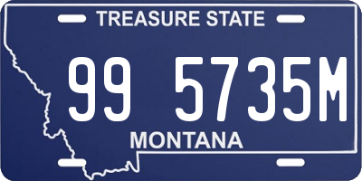 MT license plate 995735M