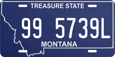 MT license plate 995739L