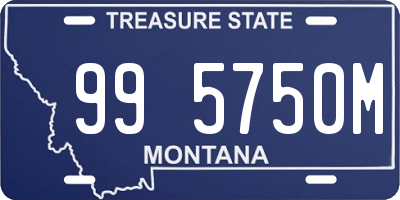 MT license plate 995750M