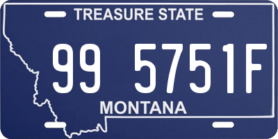 MT license plate 995751F