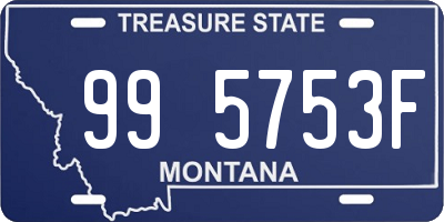 MT license plate 995753F