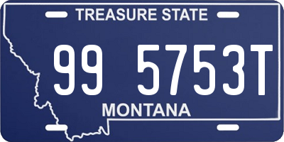 MT license plate 995753T