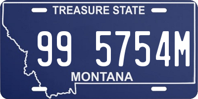 MT license plate 995754M