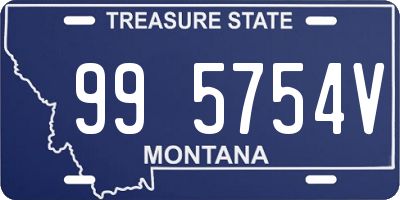 MT license plate 995754V