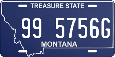 MT license plate 995756G