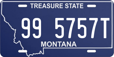 MT license plate 995757T