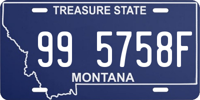 MT license plate 995758F