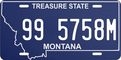 MT license plate 995758M