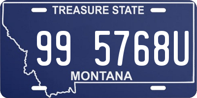 MT license plate 995768U