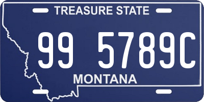 MT license plate 995789C