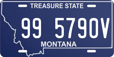 MT license plate 995790V