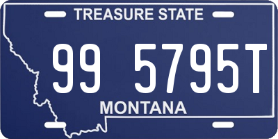 MT license plate 995795T