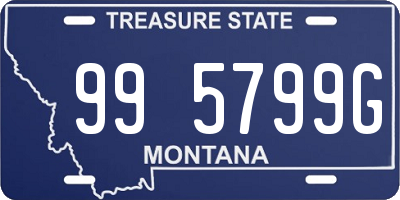 MT license plate 995799G