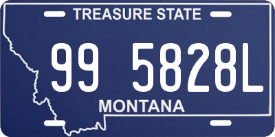 MT license plate 995828L