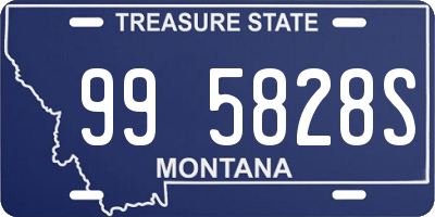 MT license plate 995828S