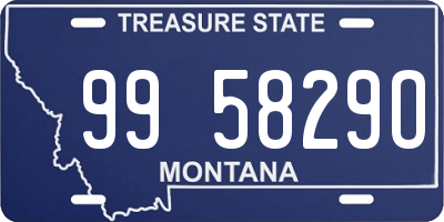 MT license plate 995829O