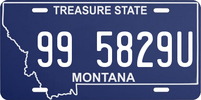 MT license plate 995829U