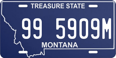MT license plate 995909M