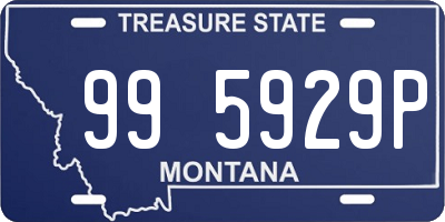 MT license plate 995929P