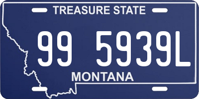 MT license plate 995939L