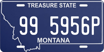 MT license plate 995956P