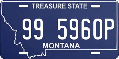 MT license plate 995960P