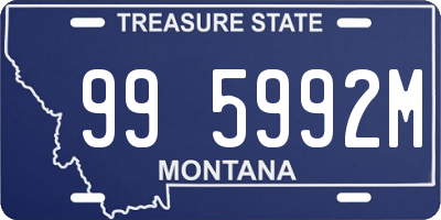 MT license plate 995992M