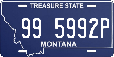 MT license plate 995992P