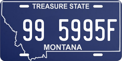 MT license plate 995995F