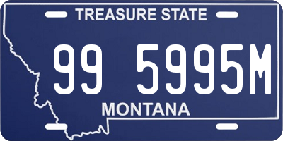 MT license plate 995995M