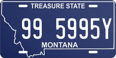 MT license plate 995995Y
