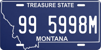 MT license plate 995998M